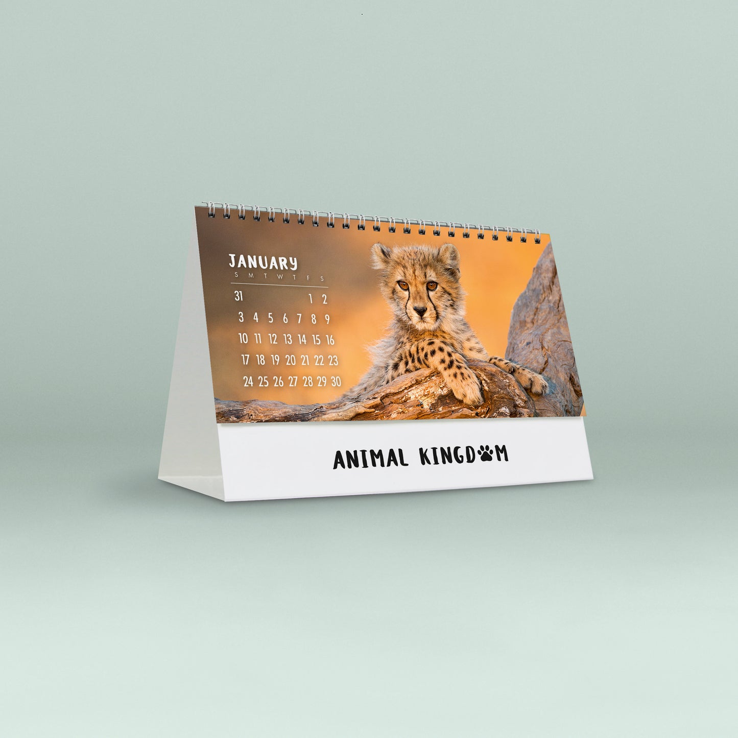 Animal Kingdom 2027 Desk Calendar