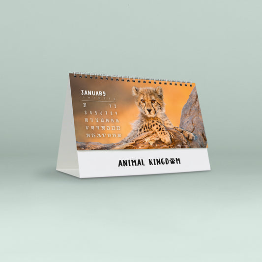 Animal Kingdom 2027 Desk Calendar
