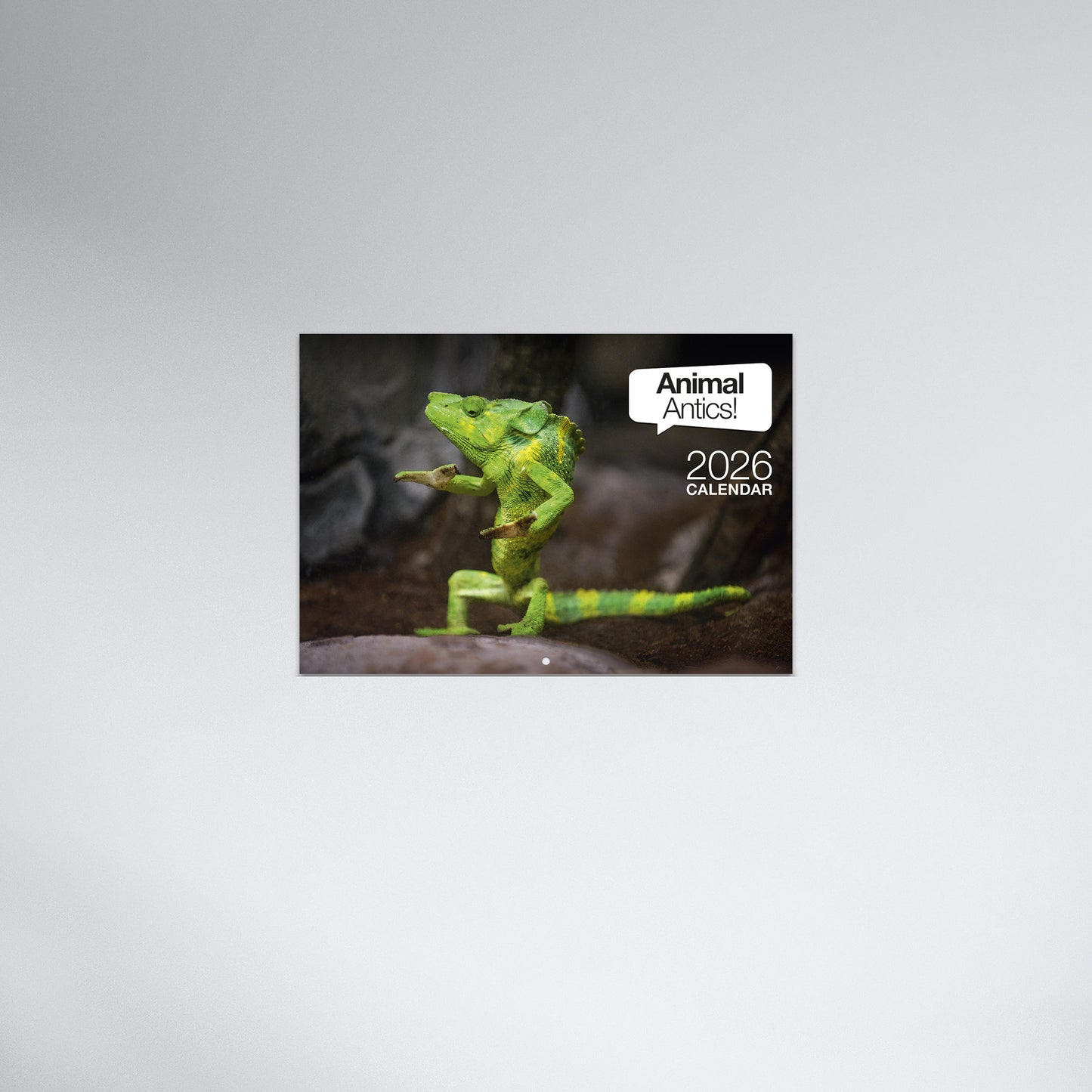 Animal Antics 2026 Booklet Calendar