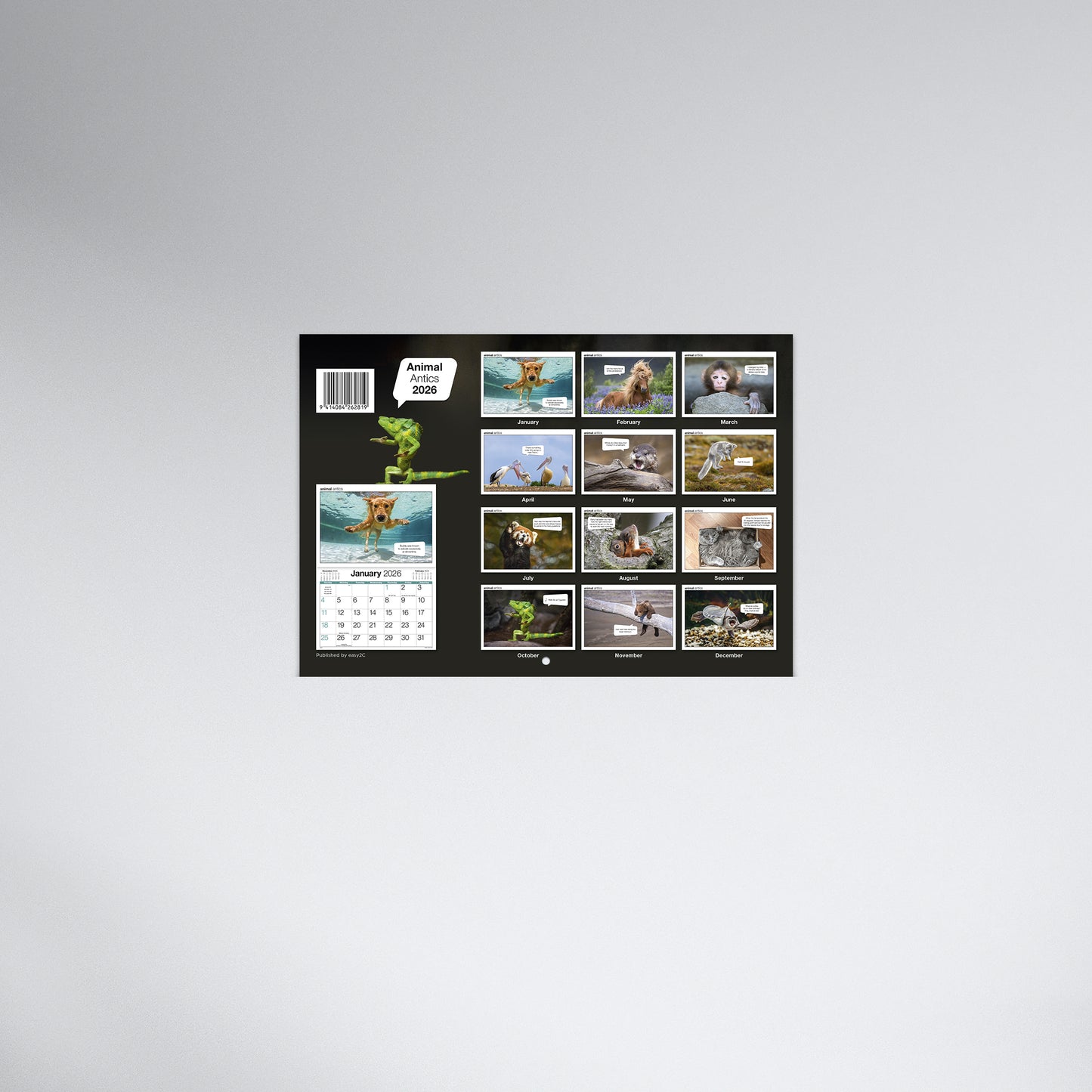 Animal Antics 2026 Booklet Calendar