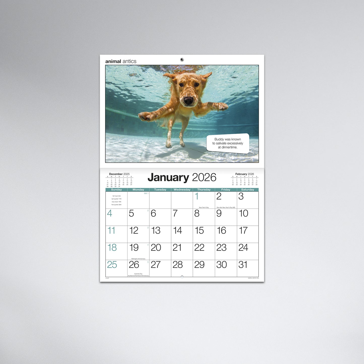 Animal Antics 2026 Booklet Calendar