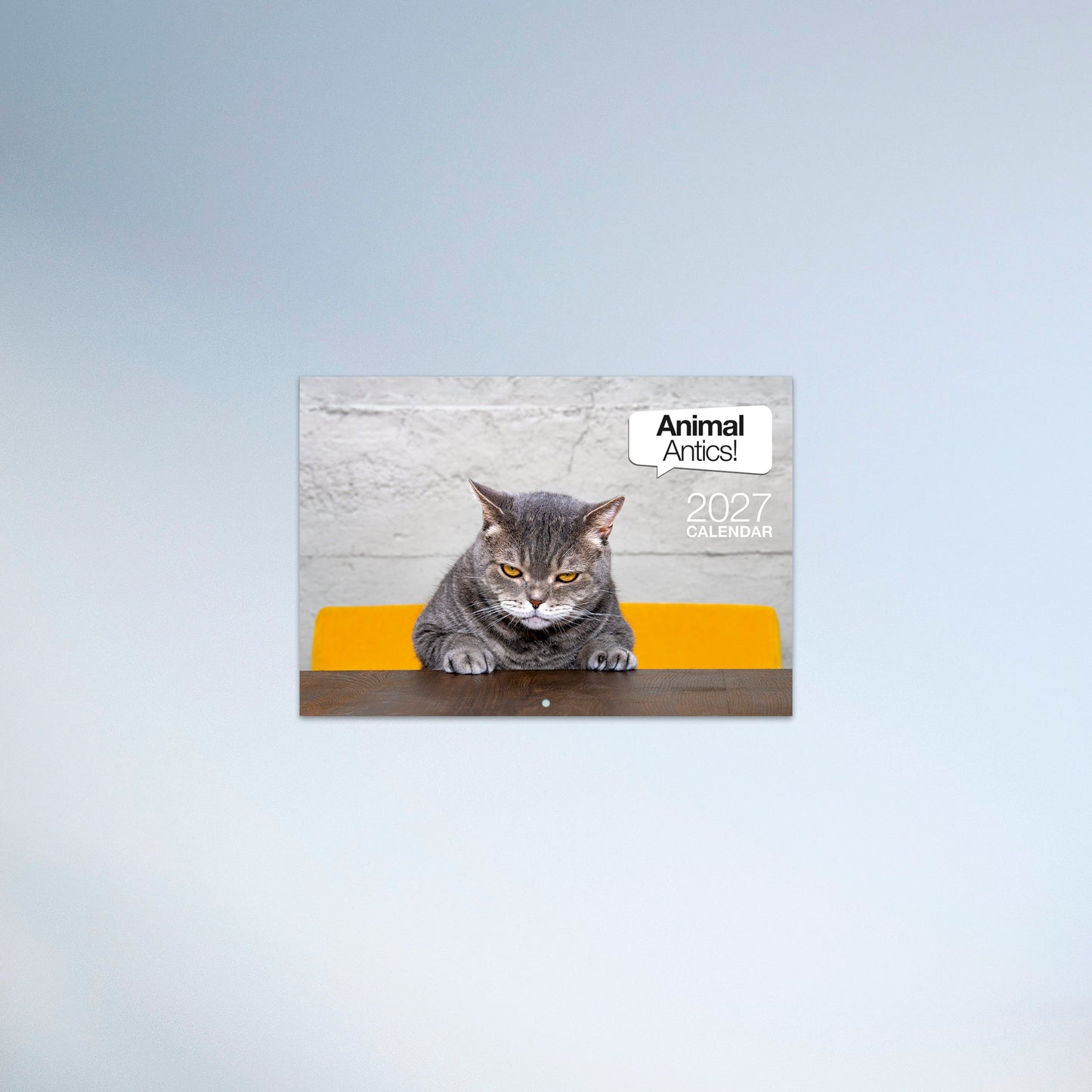 Animal Antics 2027 Booklet Calendar