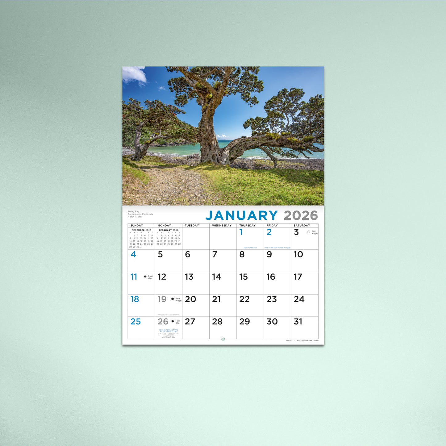 Looking at New Zealand Booklet Calendar 2026