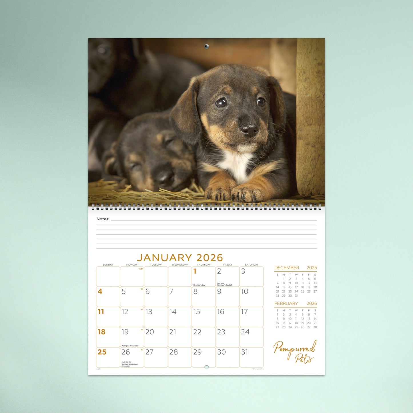 Pampurred Pets Booklet 2026 Calendar
