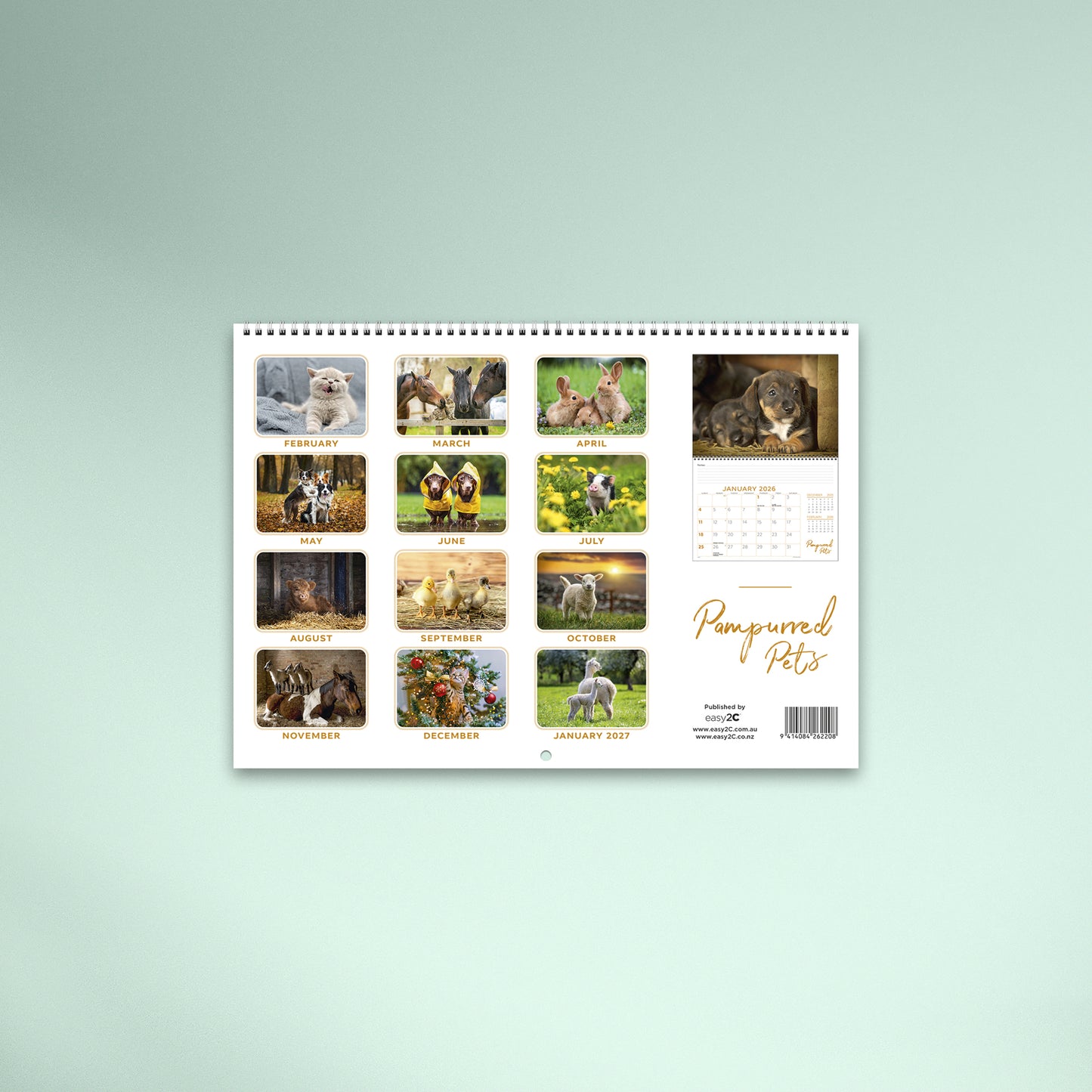 Pampurred Pets Booklet 2026 Calendar